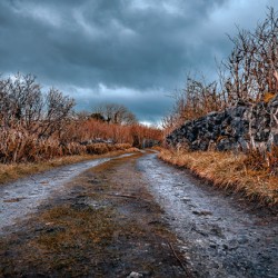 Burren National Park