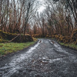 Burren National Park I