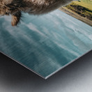 Faerie Circle Metal print