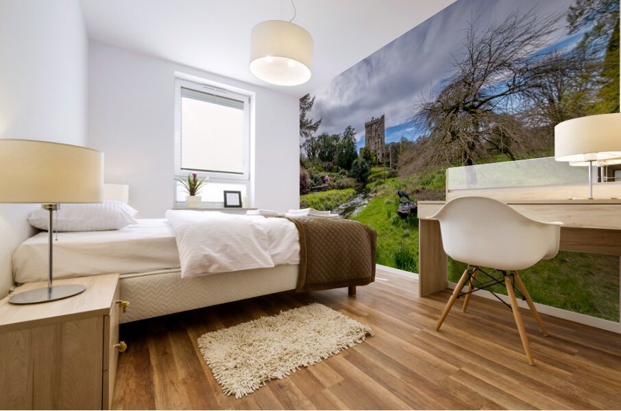 Blarney Castle II Mural print