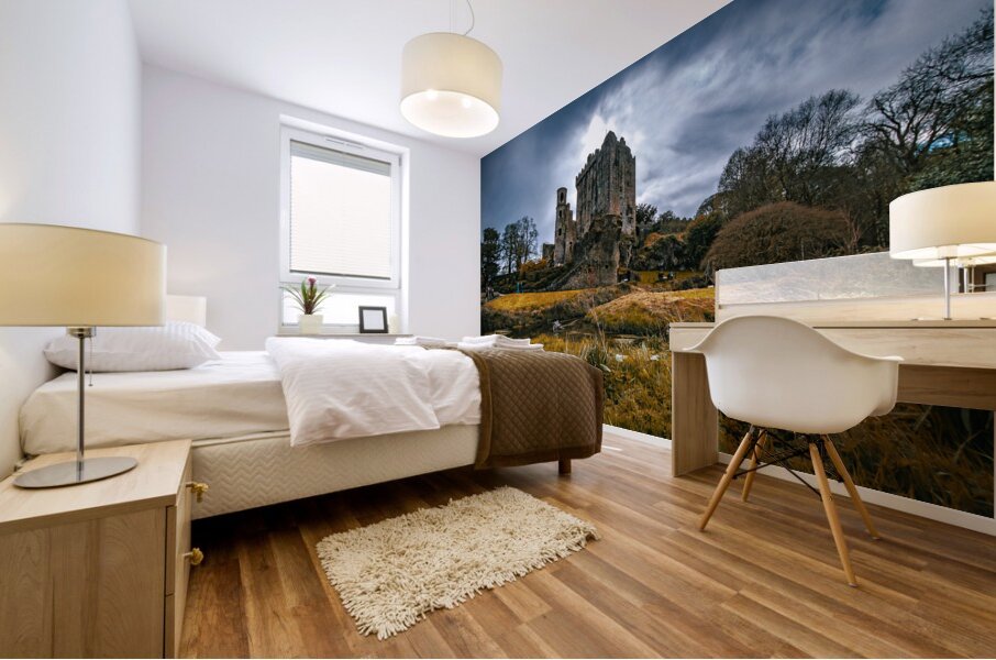 Blarney Castle I Mural print