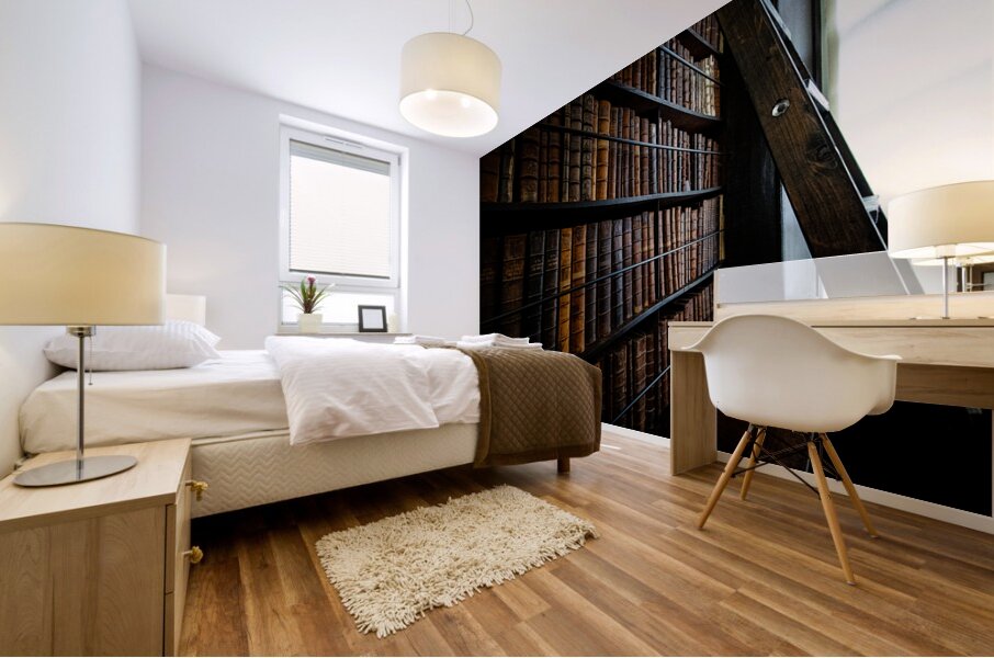 Marshs Library II Mural print