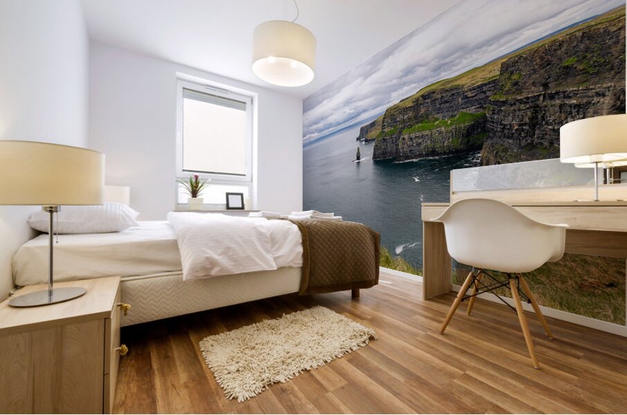 Cliffs Of Moher Mural print