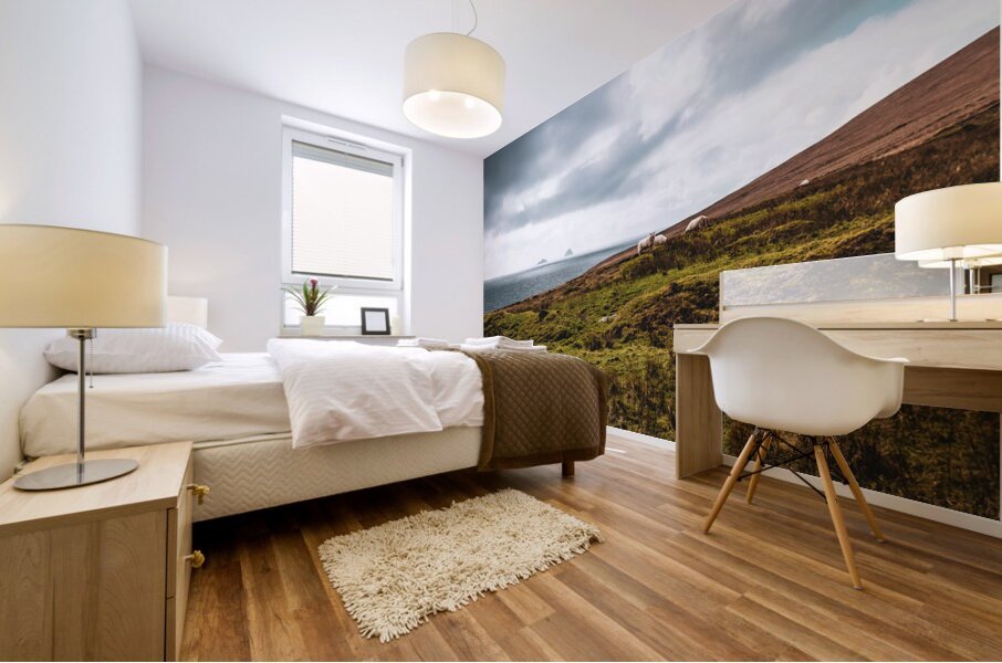 Valentia Island Mural print