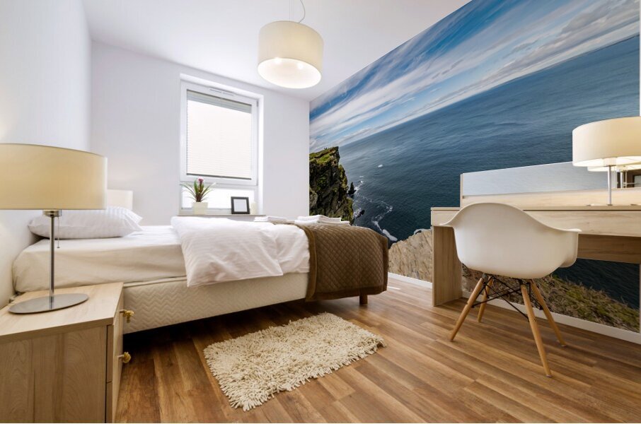 Cliffs Of Moher II Mural print