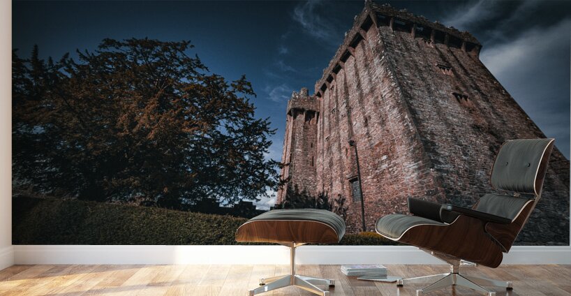 Blarney Castle Wall Murals