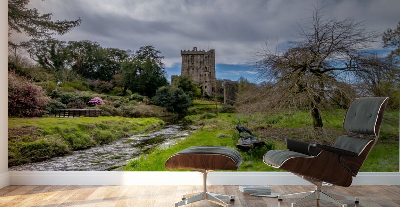 Blarney Castle II Wall Murals