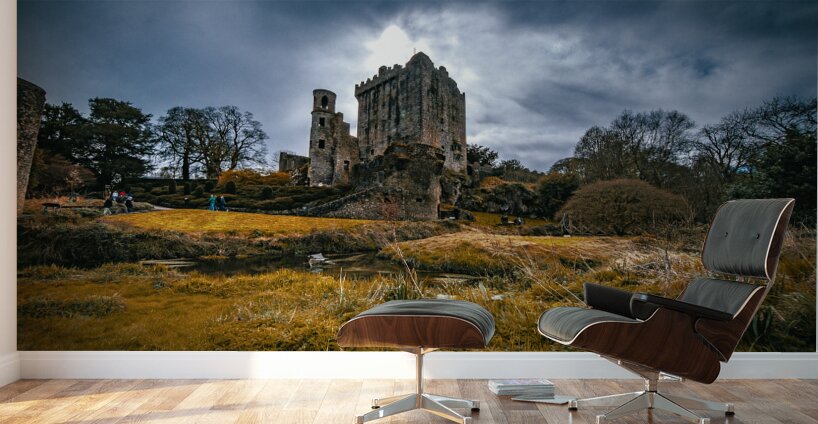 Blarney Castle I Wall Murals