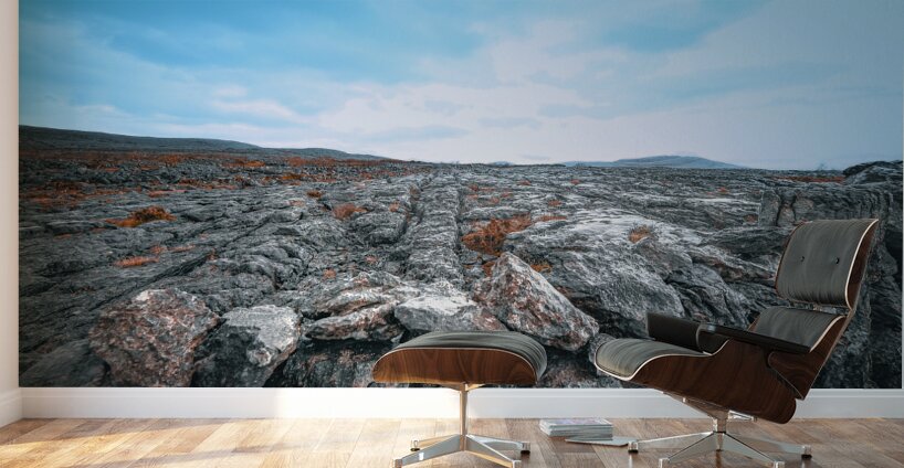 Burren National Park Wall Murals
