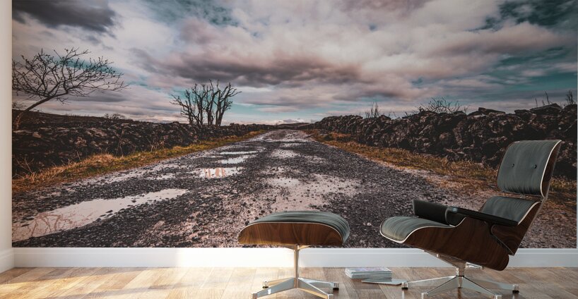 Burren National Park II Wall Murals