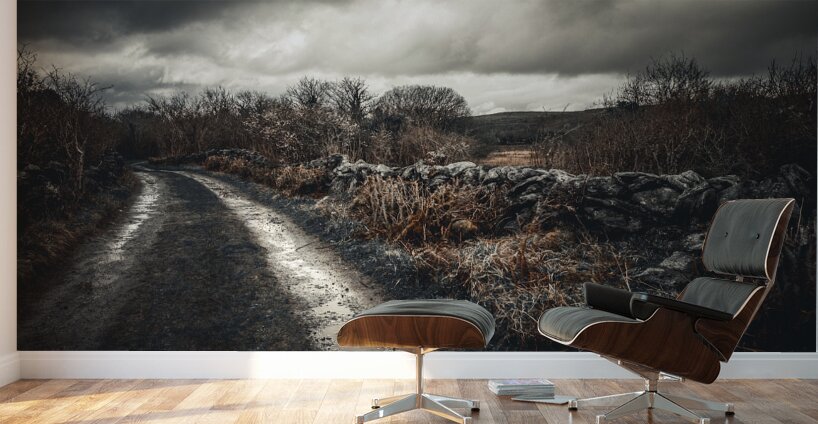 Burren National Park IV Wall Murals
