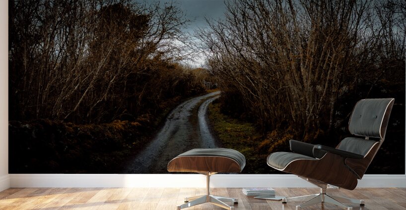 Burren National Park V Wall Murals