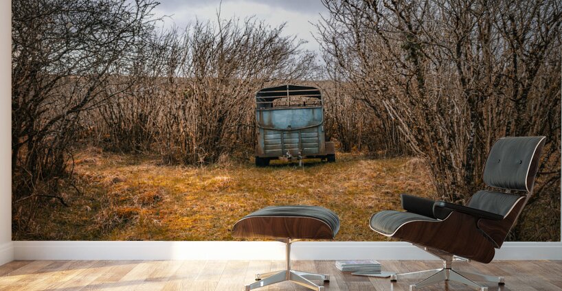 Burren National Park Wall Murals