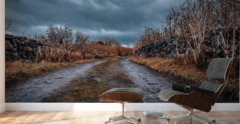 Burren National Park Wall Murals