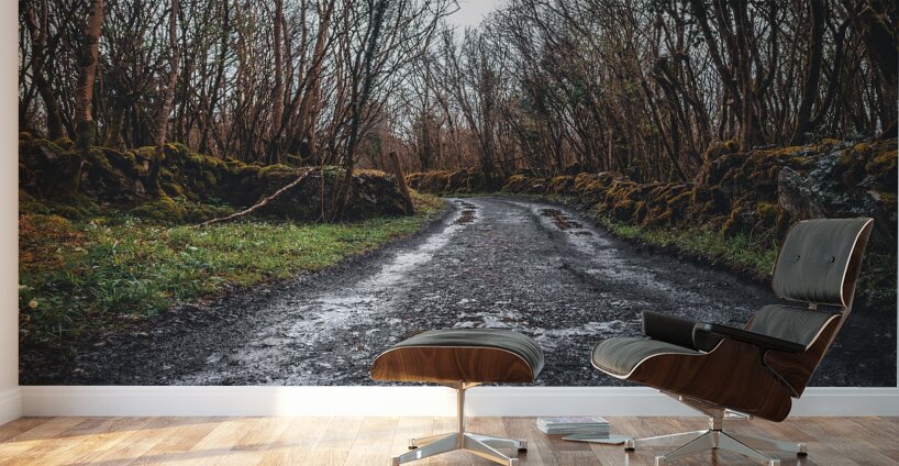 Burren National Park I Wall Murals