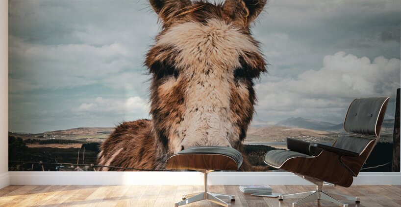 Faerie Circle II Wall Murals