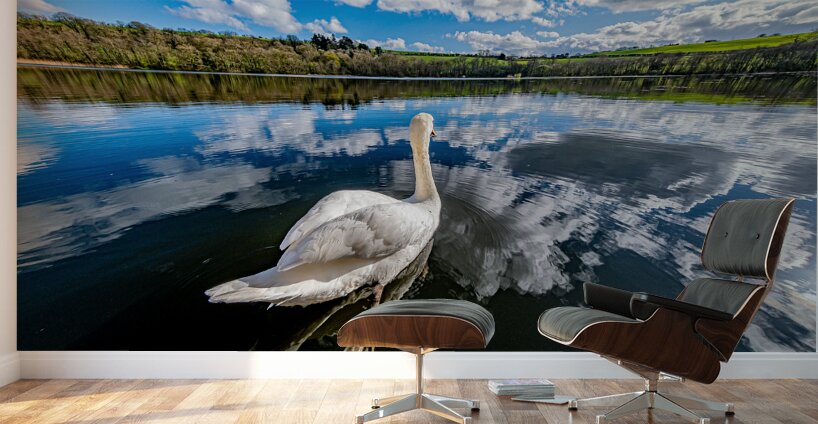 Swan II Wall Murals