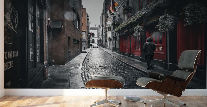 Dublin Wall Murals