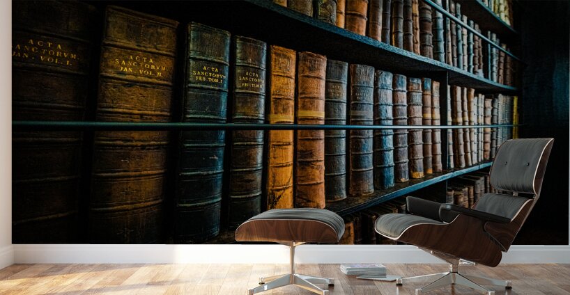 Marshs Library Wall Murals