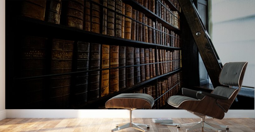 Marshs Library II Wall Murals