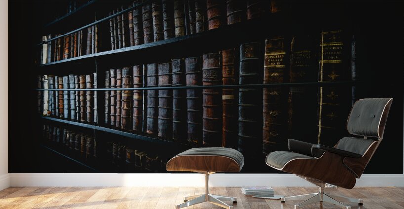 Marshs Library I Wall Murals