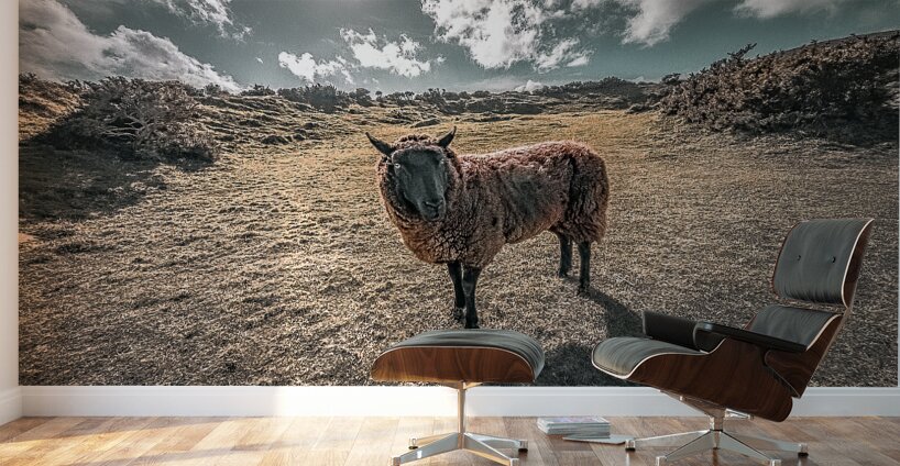 Faerie Circle Friend Wall Murals