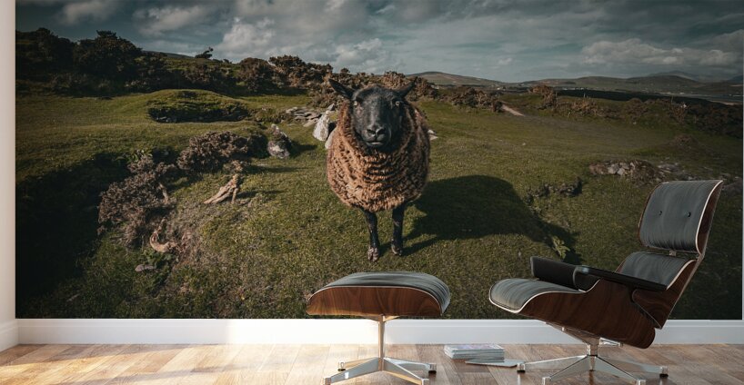 Sheep in the Faerie Circle Wall Murals