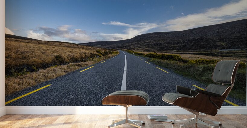 The Road I Wall Murals