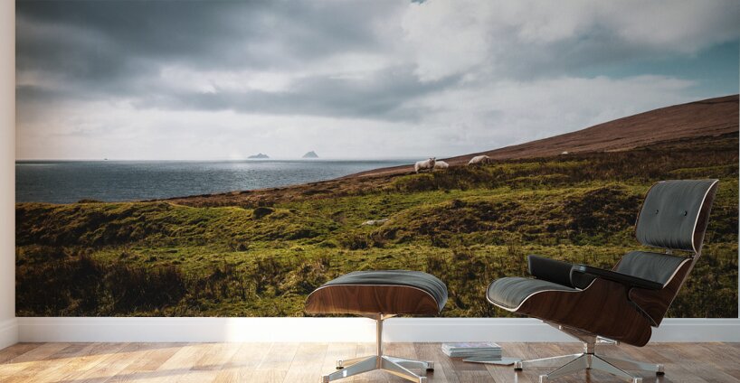 Valentia Island Wall Murals