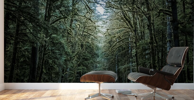 A Forest Wall Murals