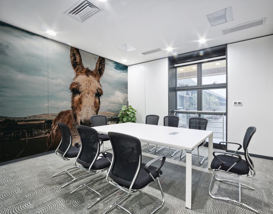 Faerie Circle II Wall Printing