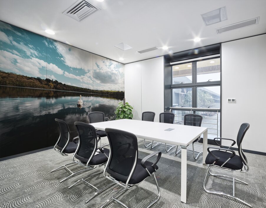 Swan I Wall Printing