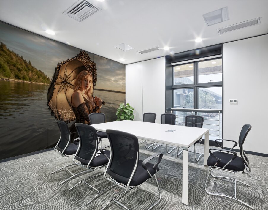 The Sun Deceptive Wall Printing