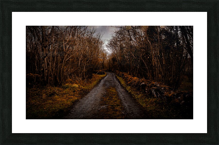 Burren National Park III Picture Frame print