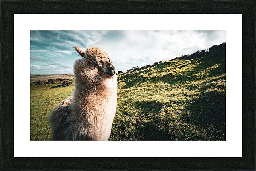 Faerie Circle Picture Frame print