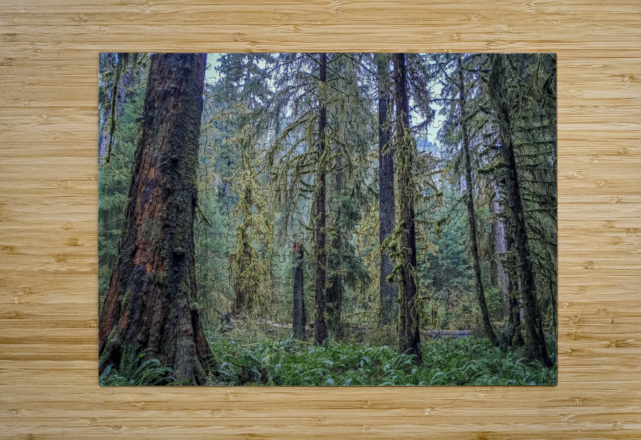 Hoh Rainforest Massey Original Puzzle printing