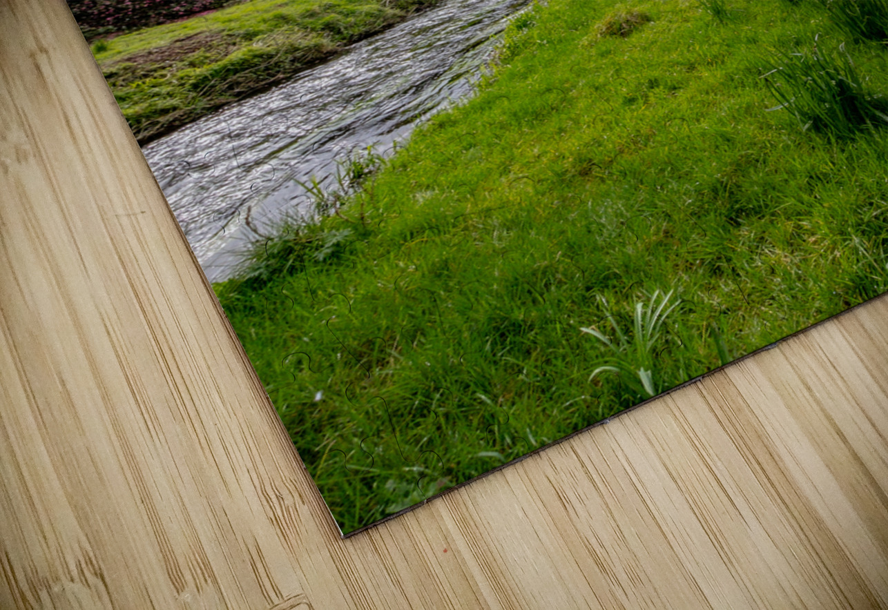 Blarney Castle II Massey Original Puzzle