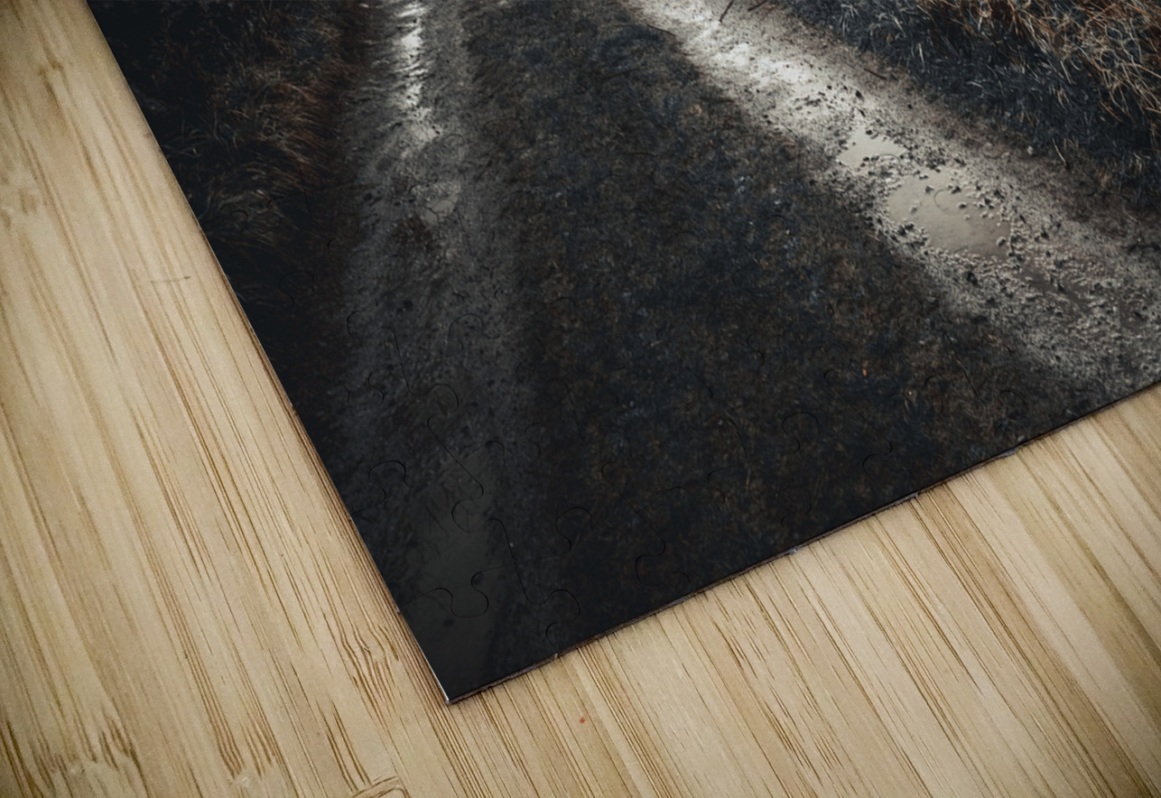 Burren National Park IV Massey Original Puzzle