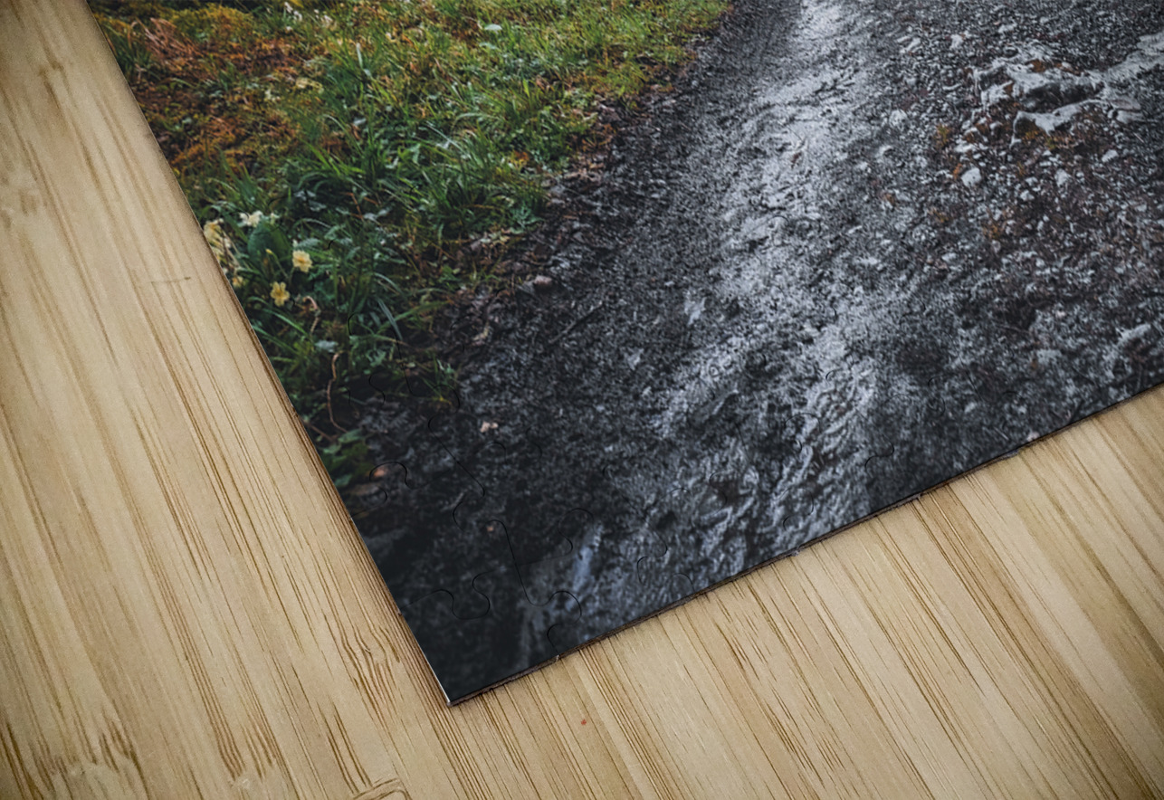 Burren National Park I Massey Original Puzzle