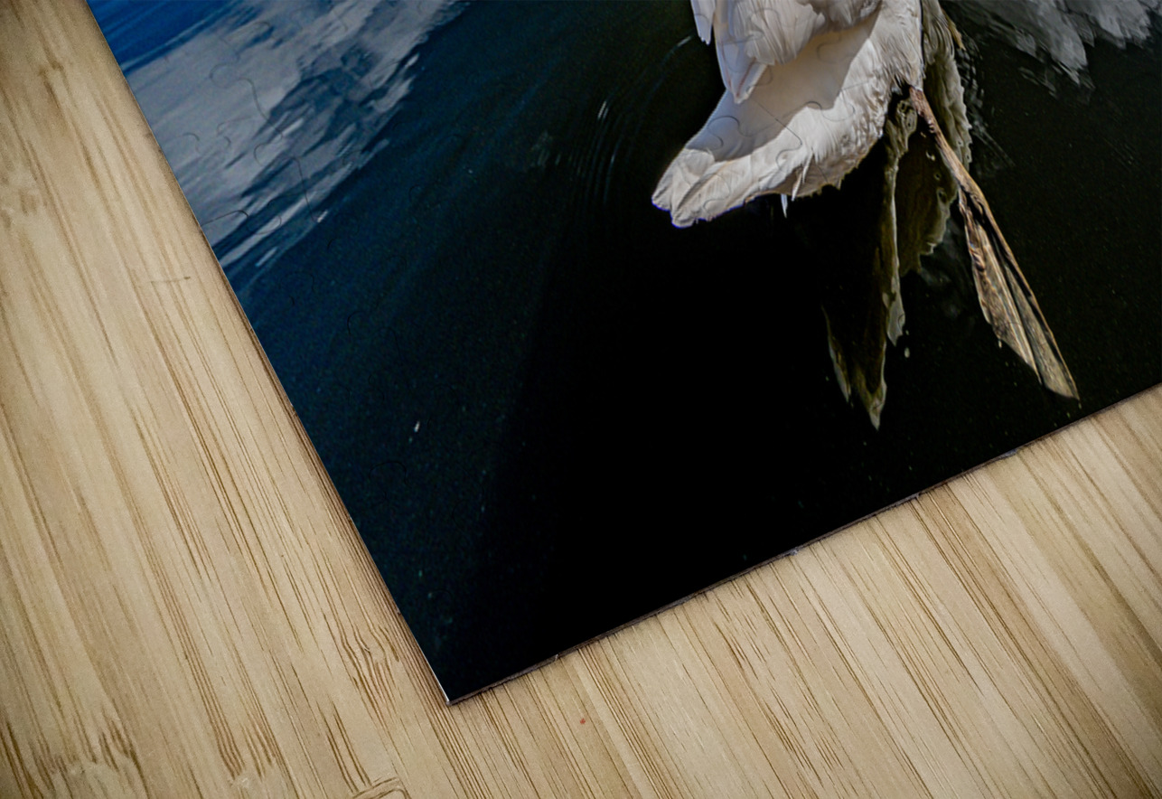 Swan II Massey Original Puzzle