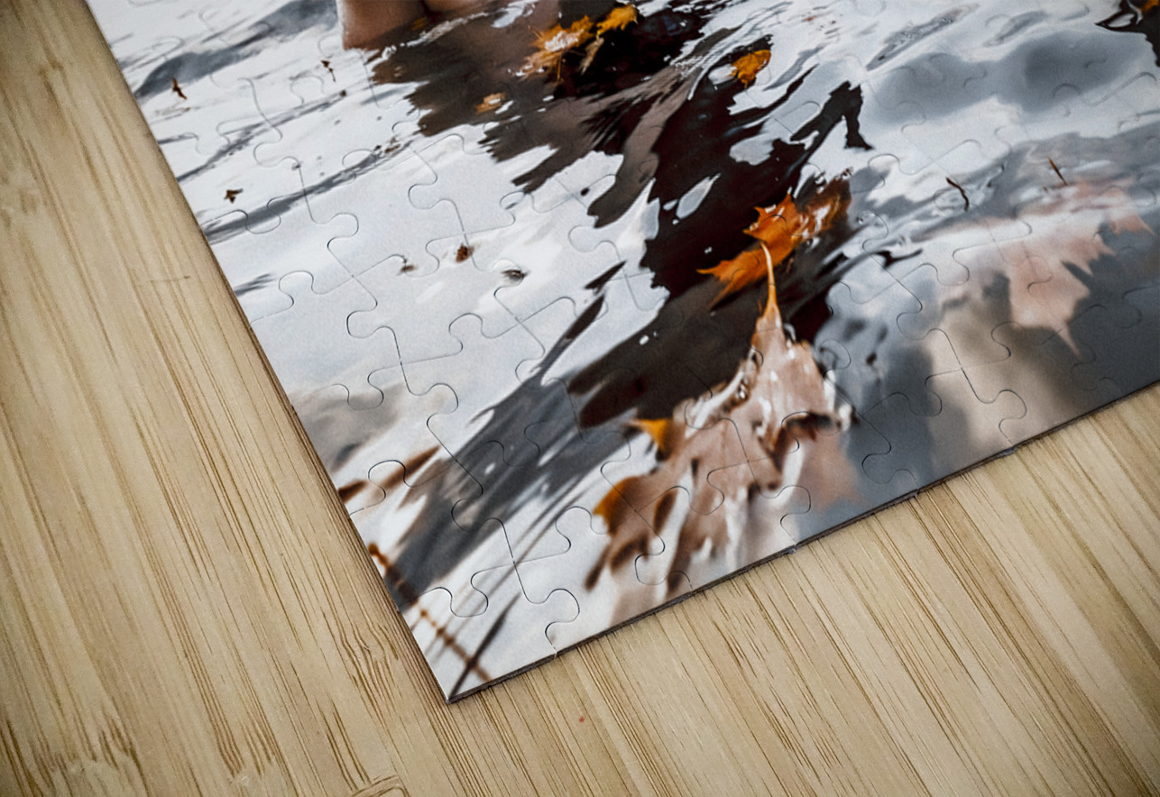 CCCI 9 Massey Original Puzzle