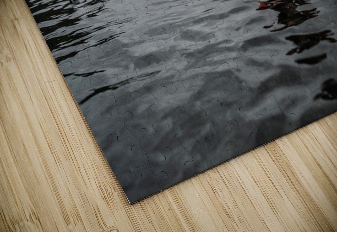 CCCI Massey Original Puzzle