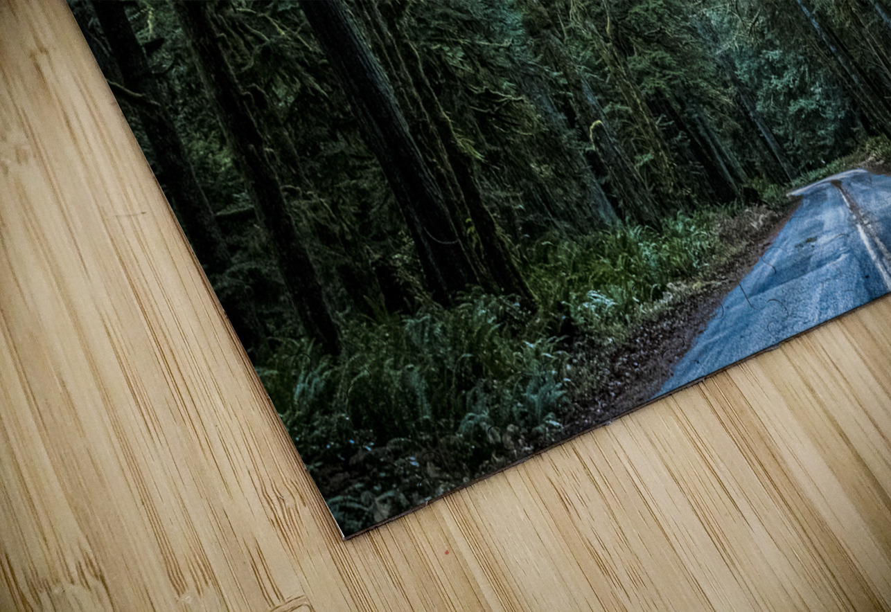 A Forest Massey Original Puzzle