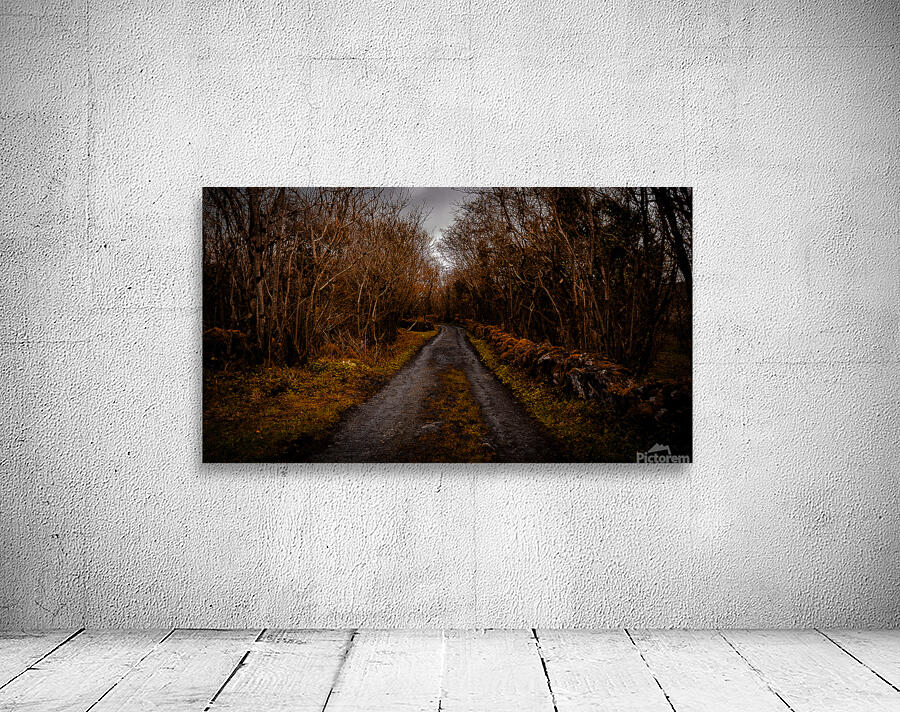 Burren National Park III Wall Preview