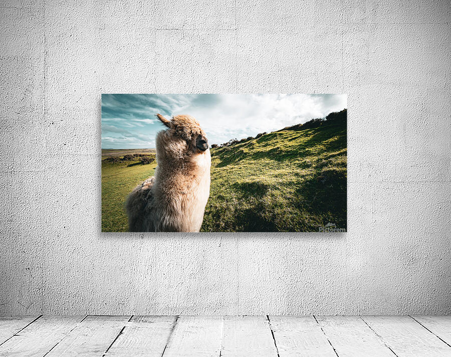 Faerie Circle Wall Preview