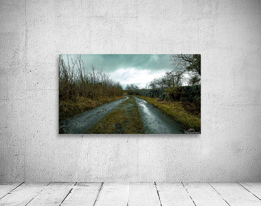 Burren National Park VI Wall Preview