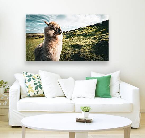 Faerie Circle by Massey Original