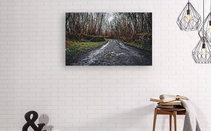 Burren National Park I by Massey Original