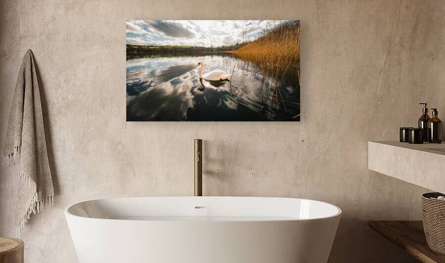 Swan by Massey Original