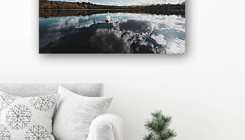 Swan I by Massey Original